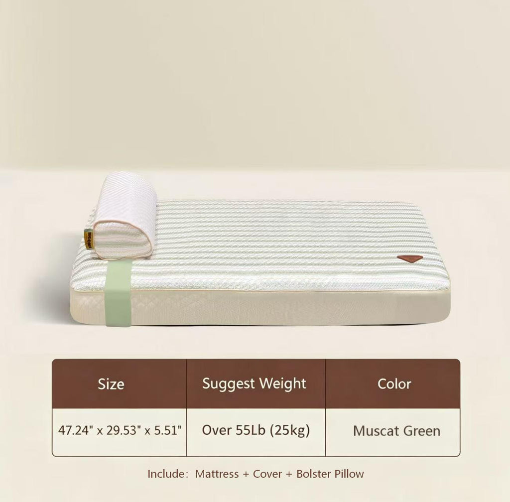 NOOKI OrthoFlex Zero-Pressure Pet Bed
